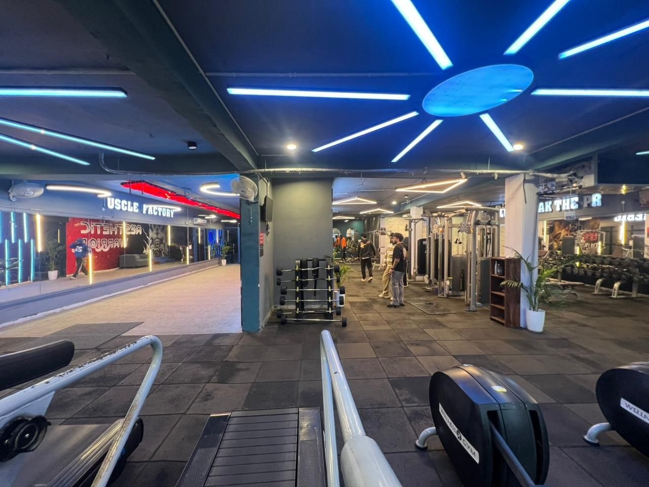The Aesthetic Gym – training area